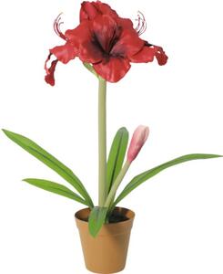 Floare artificială Amaryllis în ghiveci Lafiora H 53 cm roșu