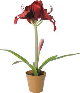 Floare artificială Amaryllis în ghiveci Lafiora H 53 cm roșu