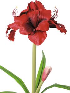 Floare artificială Amaryllis în ghiveci Lafiora H 53 cm roșu