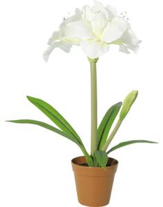 Floare artificială Amaryllis în ghiveci Lafiora H 53 cm alb