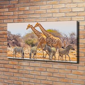 Imprimare tablou canvas Girafe și zebre