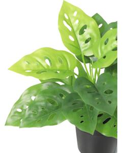 Floare artificială Monstera în ghiveci Lafiora H 21 cm verde