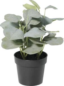 Floare artificială Eucalipt în ghiveci Lafiora H 21 cm verde