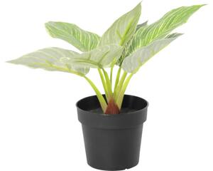 Floare artificială Filodendron în ghiveci Lafiora H 21 cm verde alb