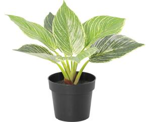 Floare artificială Filodendron în ghiveci Lafiora H 21 cm verde alb
