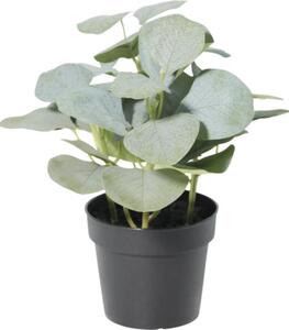 Floare artificială Eucalipt în ghiveci Lafiora H 21 cm verde