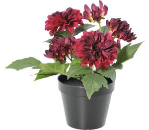 Floare artificială Dalie în ghiveci Lafiora H 26 cm roșu închis