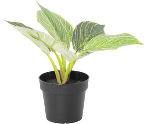 Floare artificială Filodendron în ghiveci Lafiora H 21 cm verde alb