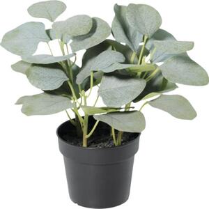 Floare artificială Eucalipt în ghiveci Lafiora H 21 cm verde