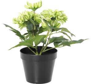 Floare artificială Dalie în ghiveci Lafiora H 26 cm verde