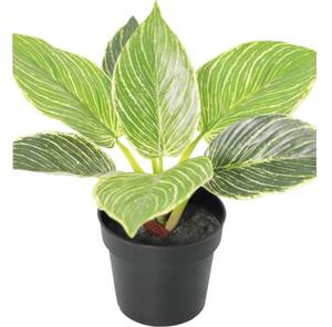 Floare artificială Filodendron în ghiveci Lafiora H 21 cm verde alb