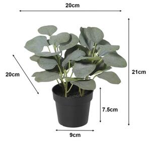 Floare artificială Eucalipt în ghiveci Lafiora H 21 cm verde