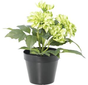 Floare artificială Dalie în ghiveci Lafiora H 26 cm verde