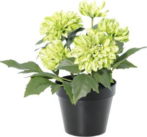 Floare artificială Dalie în ghiveci Lafiora H 26 cm verde