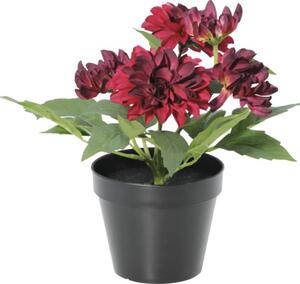 Floare artificială Dalie în ghiveci Lafiora H 26 cm roșu închis