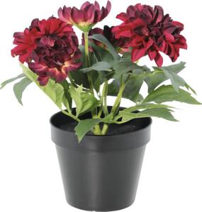 Floare artificială Dalie în ghiveci Lafiora H 26 cm roșu închis