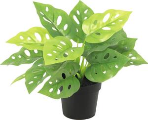 Floare artificială Monstera în ghiveci Lafiora H 21 cm verde