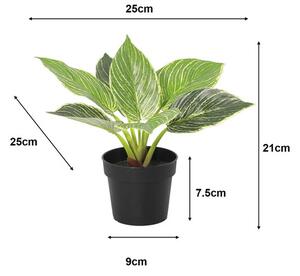 Floare artificială Filodendron în ghiveci Lafiora H 21 cm verde alb