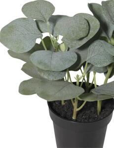 Floare artificială Eucalipt în ghiveci Lafiora H 21 cm verde