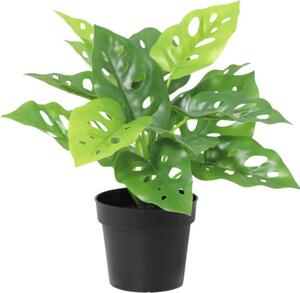 Floare artificială Monstera în ghiveci Lafiora H 21 cm verde