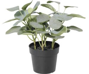 Floare artificială Eucalipt în ghiveci Lafiora H 21 cm verde