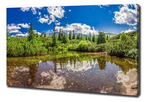 Tablou pe pânză canvas Lacul în pădure