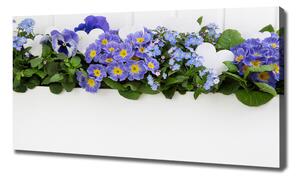 Print pe pânză flori albastre