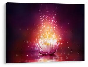 Tablou cu floare de lotus (70x50 cm)