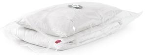 Set saci de depozitare Compactor Bag 55 x 90 cm, 2 buc, transparent