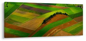 Tablou - Lan, luncile (120x50 cm)