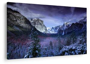 Tablou - Yosemite, USA (90x60 cm)