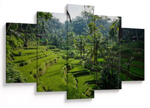Tablou cu terasele cu orez Tegalalang, Bali (150x105 cm)