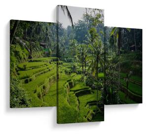 Tablou cu terasele cu orez Tegalalang, Bali (90x60 cm)