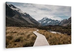 Tablou - Poteca în valea muntelui Mt. Cook (90x60 cm)