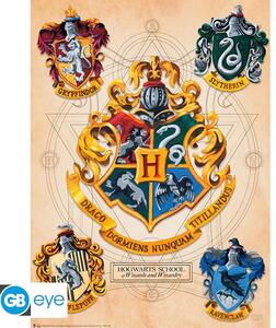 Set 2 postere Harry Potter