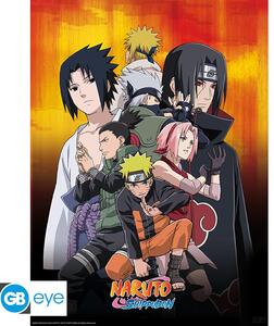 Set 2 postere Naruto