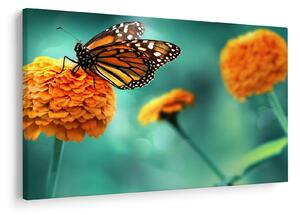 Tablou cu fluture (90x60 cm)