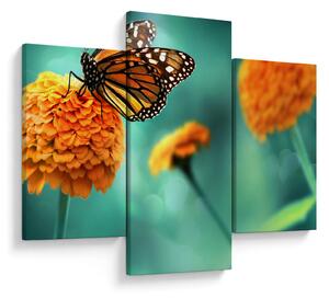 Tablou cu fluture (90x60 cm)