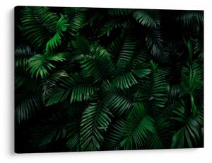Tablou - Păpădii tropicale (70x50 cm)