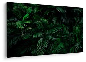 Tablou - Păpădii tropicale (90x60 cm)