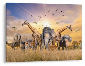 Tablou - Animae din Africa (70x50 cm)