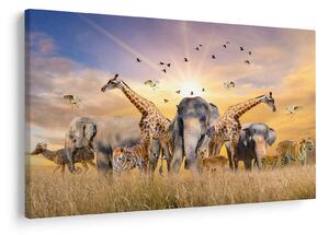 Tablou - Animae din Africa (90x60 cm)