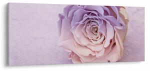 Tablou detaliu florii de trandafir (120x50 cm)