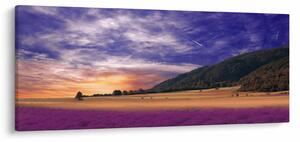 Tablou cu lunca cu lavandă (120x50 cm)
