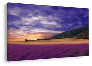 Tablou cu lunca cu lavandă (90x60 cm)