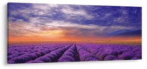 Tablou câmpului cu lavandă (120x50 cm)