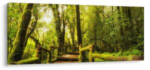 Tablou junglei cu mușchi (120x50 cm)