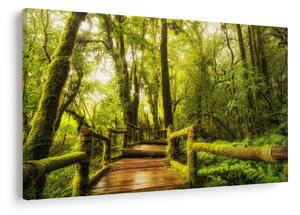Tablou junglei cu mușchi (90x60 cm)
