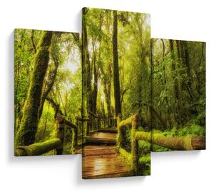 Tablou junglei cu mușchi (90x60 cm)