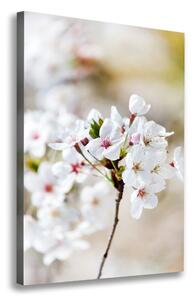Imprimare tablou canvas flori de cireș